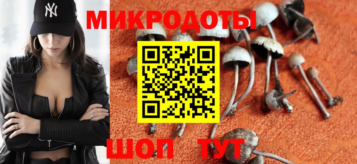 Борзя  Галлюциногенные грибы мухоморы  Галлюциногенные грибы мухоморы  Вход с VPN 
