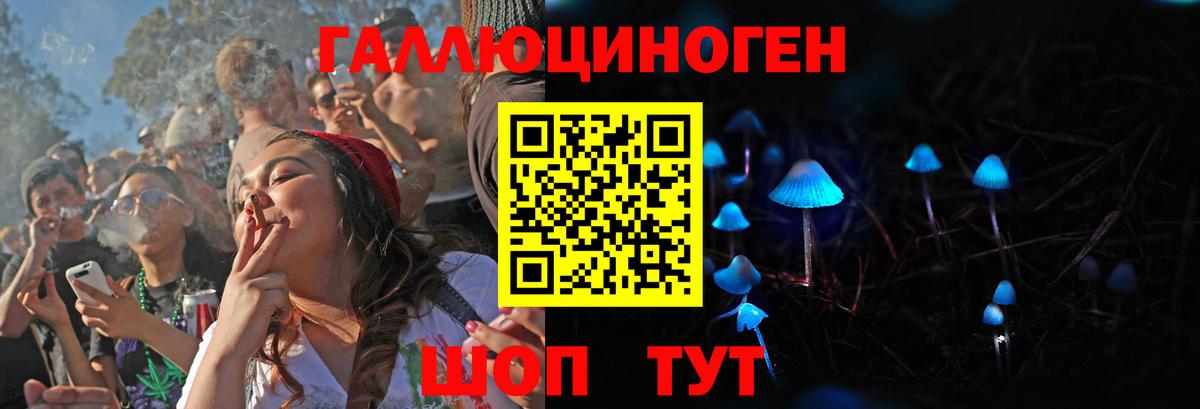 Галлюциногенные грибы Cubensis Борзя